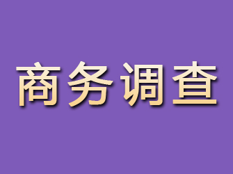 乡宁商务调查